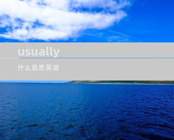 usually 什么意思英语